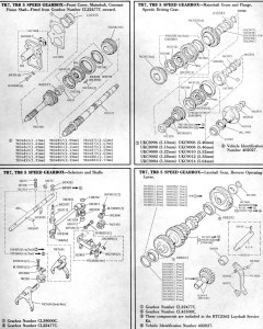 TR7-TR8-Gearbox-Mainshaft-gears-layshaft-selectors-shafts